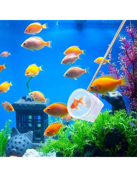 Red para Peces de Acuario Jxiwfvl 10.2 cm Mango Extensible