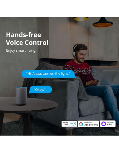 Interruptor de Luz Inteligente SONOFF ZBMINI 1000W Paquete de 4