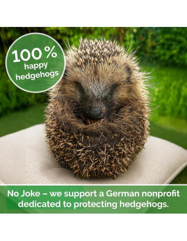 2 Pelotas de Habilidad DBT MySkills4Life Espinosas 5cm