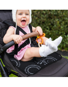 Protector de Asiento de Coche LITTOBEBE 2 Piezas Impermeable 2