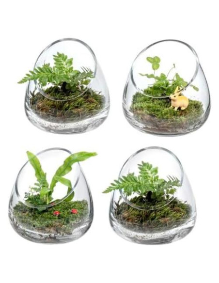 Juego de 4 Terrarios de Vidrio Claro MyGift 12.4 cm para Plantas y Velas