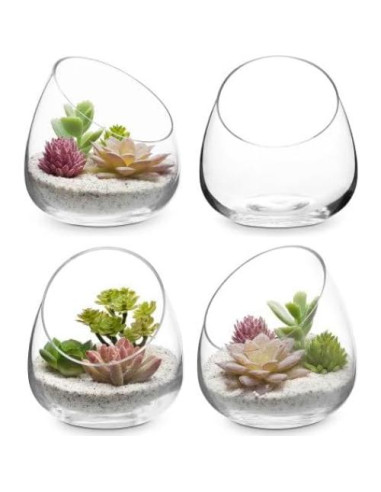 Juego de 4 Terrarios de Vidrio Claro MyGift 12.4 cm para Plantas y Velas
