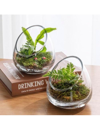 Juego de 4 Terrarios de Vidrio Claro MyGift 12.4 cm para Plantas y Velas