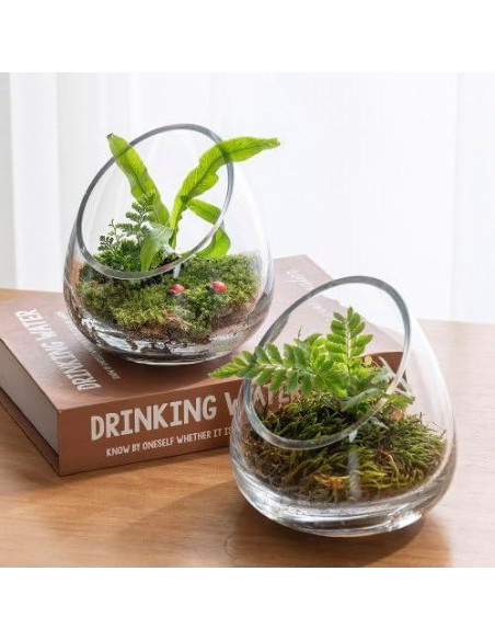 Juego de 4 Terrarios de Vidrio Claro MyGift 12.4 cm para Plantas y Velas