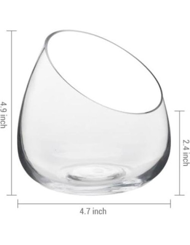 Juego de 4 Terrarios de Vidrio Claro MyGift 12.4 cm para Plantas y Velas