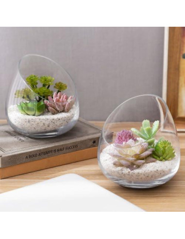 Juego de 4 Terrarios de Vidrio Claro MyGift 12.4 cm para Plantas y Velas