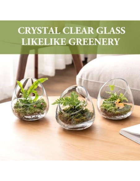 Juego de 4 Terrarios de Vidrio Claro MyGift 12.4 cm para Plantas y Velas