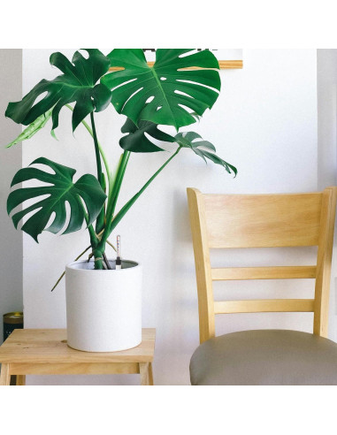 Medidor de Agua para Plantas VOSAREA 2 Pcs Indicador Nivel