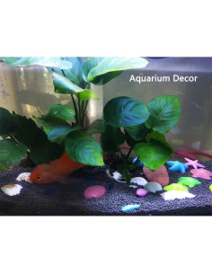 Rocas Brillantes para Acuario ATZ TECH - 70 Piezas Ecológicas 2