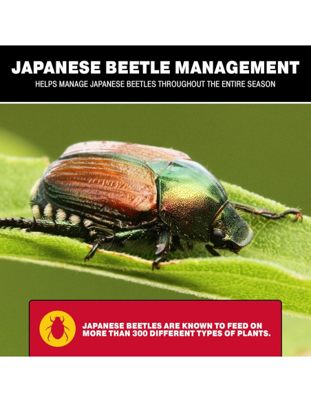 Trampas para Escarabajos Japoneses Catchmaster 3PK con Atrayente