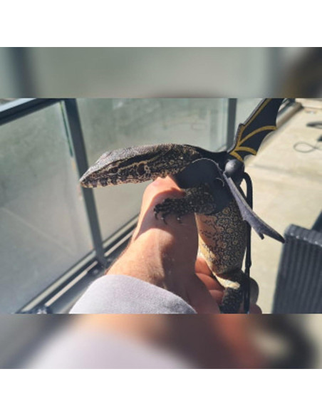 Arnés de Correa Ajustable ZARSIO para Reptiles - 3 Tamaños