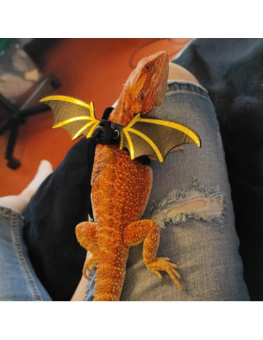 Arnés de Correa Ajustable ZARSIO para Reptiles - 3 Tamaños