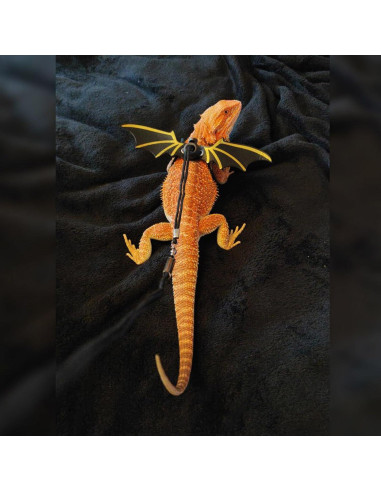 Arnés de Correa Ajustable ZARSIO para Reptiles - 3 Tamaños
