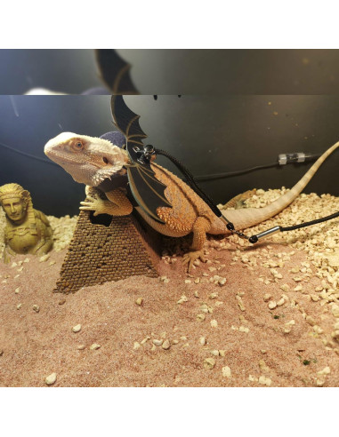 Arnés de Correa Ajustable ZARSIO para Reptiles - 3 Tamaños