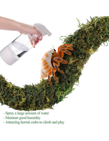 Accesorios para Cangrejo Ermitaño Grddaef - Hamaca, Puente y Vid