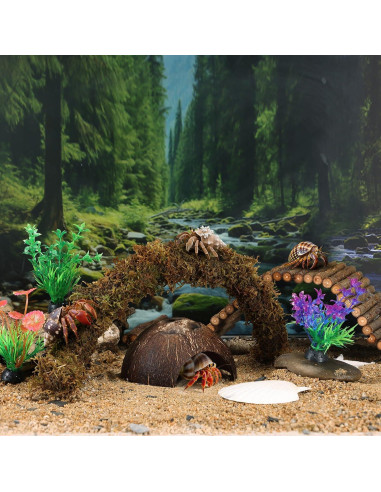 Accesorios para Cangrejo Ermitaño Grddaef - Hamaca, Puente y Vid