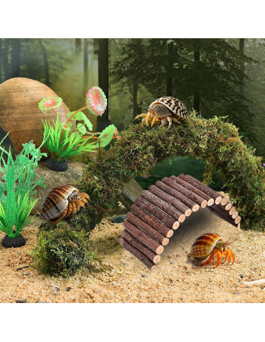 Accesorios para Cangrejo Ermitaño Grddaef - Hamaca, Puente y Vid