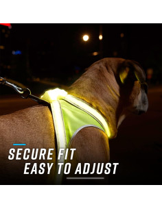 Arnés Iluminado Noxgear LightHound Grande Reflectante USB 2