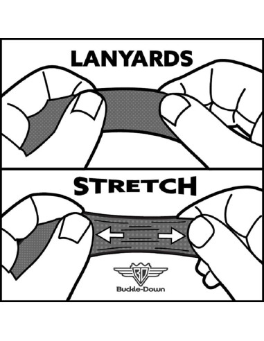 Lanyard Nickelodeon Rugrats 55.88 cm Buckle-Down Multicolor