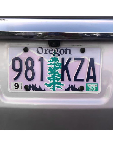 Kit de Tornillos Antirrobo XINLIYA para Placas de Matrícula 62 Piezas