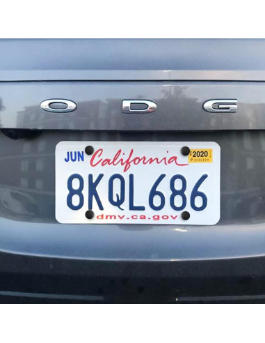 Kit de Tornillos Antirrobo XINLIYA para Placas de Matrícula 62 Piezas