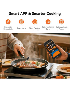 Termómetro de Carne Inalámbrico Bluetooth Newise con APP 2