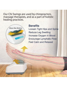 Máquina de Movimiento Daiwa Felicity - Ejercitador Aeróbico Pasivo 2