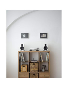 Giradiscos Manual Pro-Ject RPM 1 Carbon Negro 3.79 kg 2