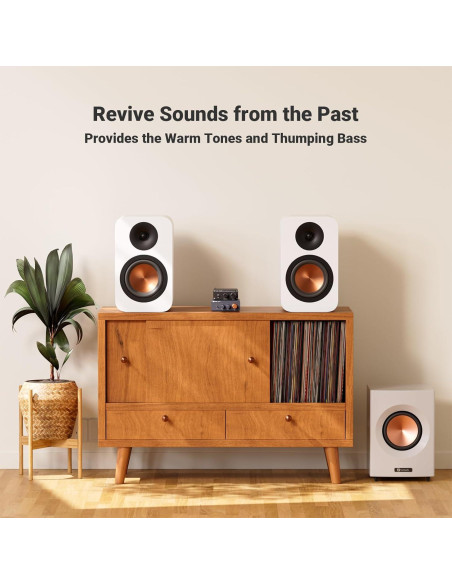 Amplificador de Subwoofer Fosi Audio M04 100W Mono Digital