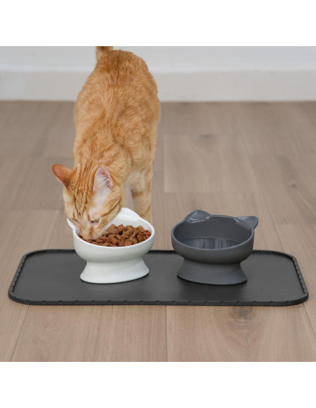 Tazones Elevados para Gato Kitty City 2pk - Diseño Moderno