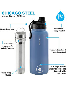 Botella Infusora de Té GROSCHE Chicago 946 ml Acero Inoxidable 2