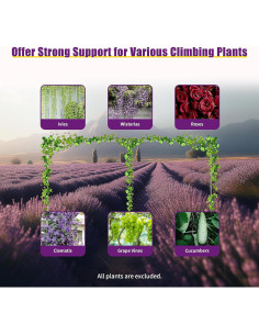 Kit Soporte Arco Boda RIAHNEAH Plateado 3m Carga 10kg 2