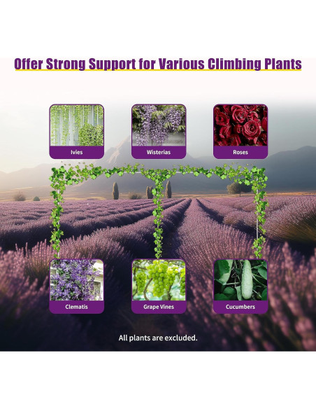 Kit Soporte Arco Boda RIAHNEAH Plateado 3m Carga 10kg