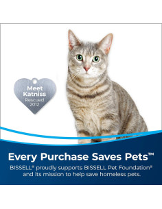 Herramienta para Manchas Difíciles Bissell 3261 para Alfombras 2