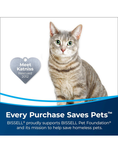 Herramienta para Manchas Difíciles Bissell 3261 para Alfombras