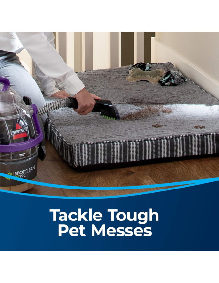 Herramienta para Manchas Difíciles Bissell 3261 para Alfombras