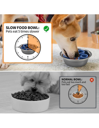 Inserto de Silicona para Tazón de Perro Alimentación Lenta S Azul