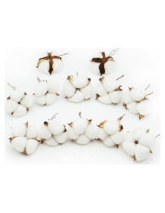 12 Bolas de Algodón Blanco Decorativas Rowan 5-6cm