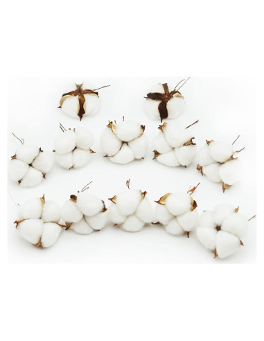 12 Bolas de Algodón Blanco Decorativas Rowan 5-6cm