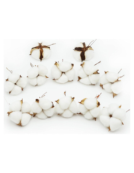 12 Bolas de Algodón Blanco Decorativas Rowan 5-6cm