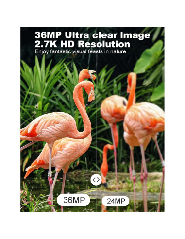 Cámara de Sendero KJK GE-HC201-1 36MP 2.7K Visión Nocturna