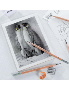 Set de Lápices de Dibujo Profesional KALOUR 18 Piezas 2
