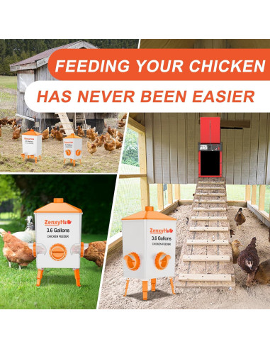Comedero para Pollos DIY ZenxyHoC 4 Puertos Naranja