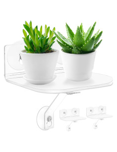 Estantes de Ventana Acrílicos Skewo - Paquete de 2 con Ventosas