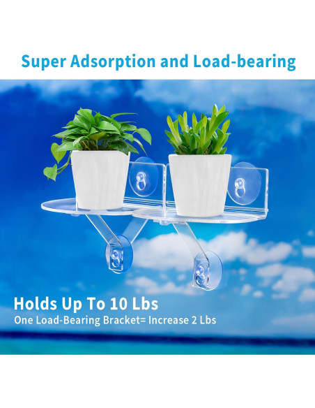 Estantes de Ventana Acrílicos Skewo - Paquete de 2 con Ventosas