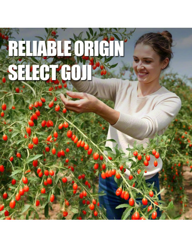 Bayas de Goji Orgánicas Ternio - 232g - 100% Naturales
