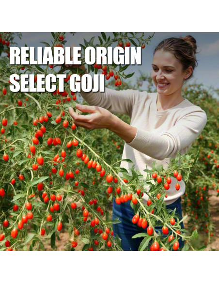 Bayas de Goji Orgánicas Ternio - 232g - 100% Naturales