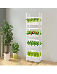 Sistema Hidropónico Vertical Fenorel 56 Plantas 4 Niveles LED 32L 2