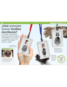 ¡Increíble pero cierto! Animales (It Can't Be True! Animals!) (DK 1,000 Amazing Facts) (Spanish Edition) 2