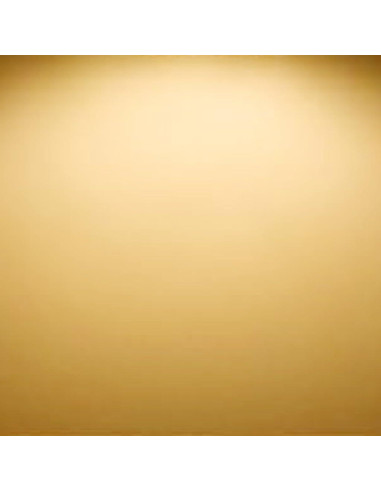 Luz LED Empotrada 20W Yun Cai con Sensor de Movimiento 3000K